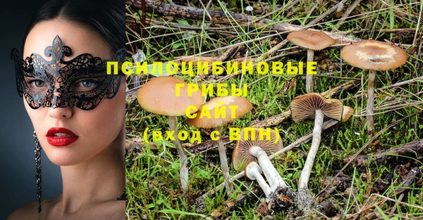 амф Надым