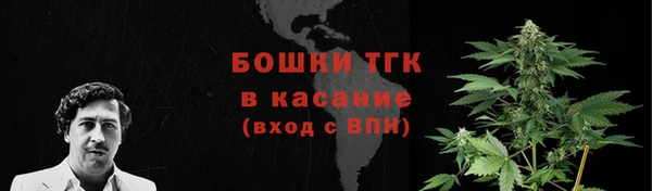 амф Надым
