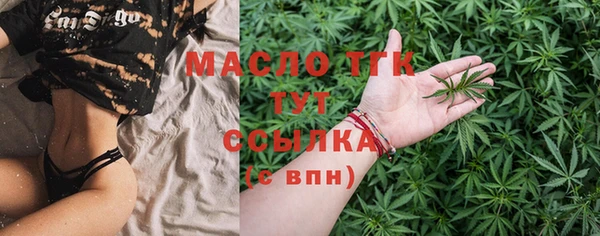 амф Надым